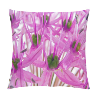 Personality  Macro Closeups Of An Allium Flower In Bloom Pillow Covers
