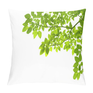Personality Green Leaves On White Background Pillow Covers
