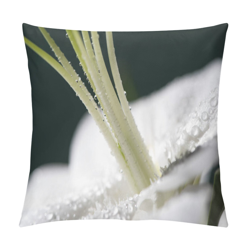 Personality  Close Up View Of White Petal Of Lily Flower With Water Drops Isolated On Black Pillow Covers