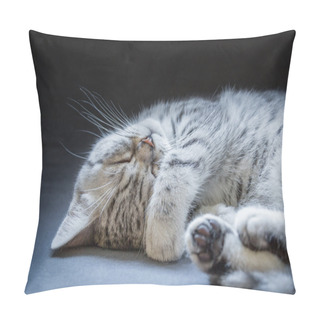 Personality  Black Silver Tabby Kitten Lying Lazy Pillow Covers