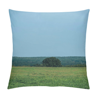 Personality  Green Grass, Forest And Clear Sky In Autumn Pillow Covers