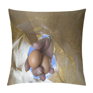 Personality  Hand Pulling Chicken Eggs From A Paper Shopping Bag Pillow Covers