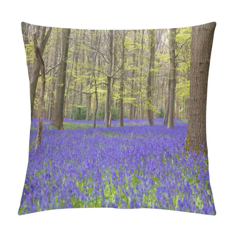 Personality  Bluebell Woods in Flower pillow covers