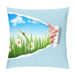 Personality  Spring Background With Flowers, Grass And A Ladybug. Vector.  Pillow Covers