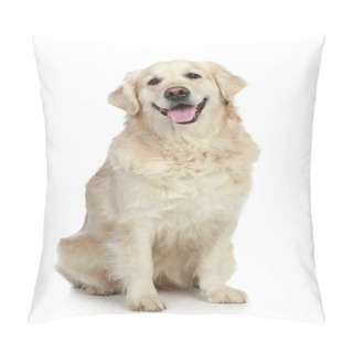 Personality  Golden Retriever Dog Pillow Covers