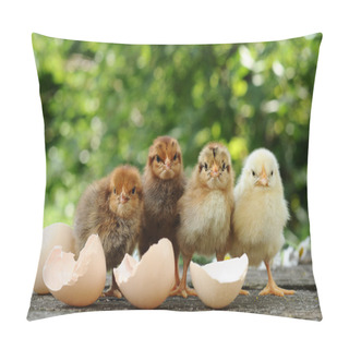 Personality  Small Chicks And Egg Shells Pillow Covers