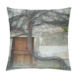 Personality  Vintage Door And Old Crooked Tree Pillow Covers