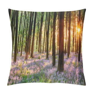 Personality  Bluebell Wood Sunrise Pillow Covers