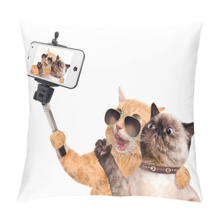 Personality  Cats Taking A Selfie With A Smartphone Pillow Covers