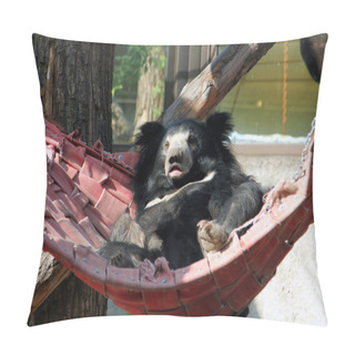 Personality  Sloth Bear (Melursus Ursinus) Resting In A Hammock Pillow Covers