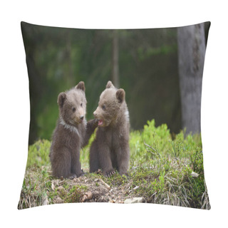 Personality  Brown Bear Cub Pillow Covers