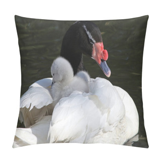 Personality  Swan With Ducklings In Water Pillow Covers