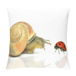 Personality  Snail With Ladybug On White Background Pillow Covers