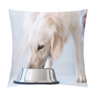 Personality  Portrait Of Beautiful Lovely White Dog Licking Water From A Bowl Placed On The Living Room Floor At Home. Pillow Covers