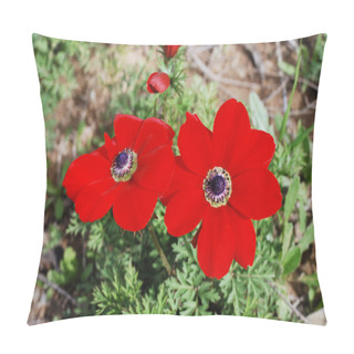 Personality  Anemones - Flowers Of Spring Pillow Covers