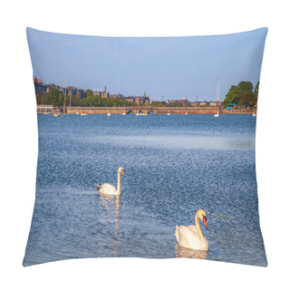 Personality  Swans Pillow Covers