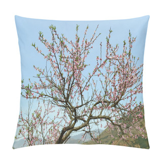 Personality  Peach Blossom Bloom In An Orchard Pillow Covers