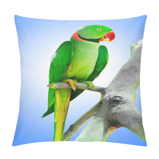 Personality  Colourful Parrot Bird Sitting On The Perch  Pillow Covers