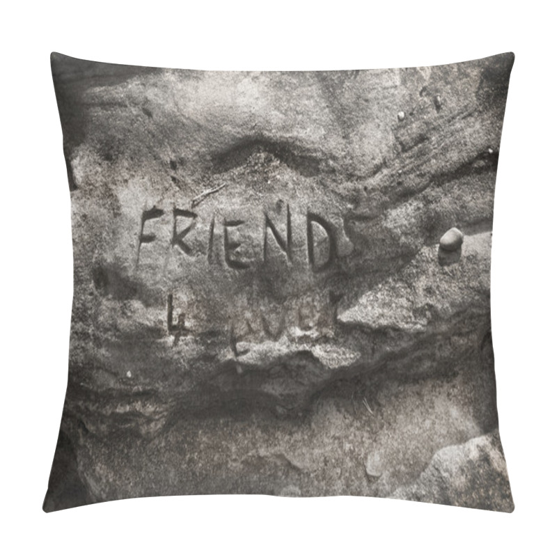 Personality  Friends forever pillow covers