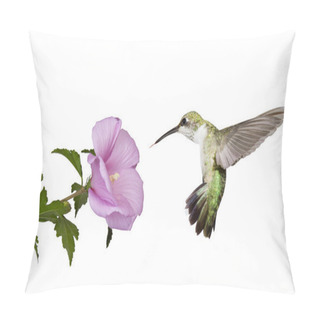 Personality  Hummingbird Floats Under A Butterfly Bush Pillow Covers