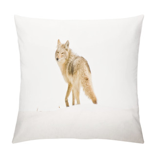 Personality  Last Look Pillow Covers
