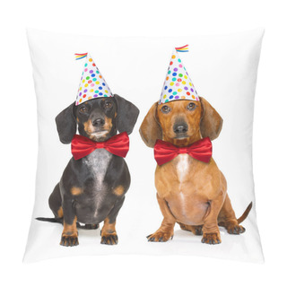 Personality  Happy Birthday Dog Pillow Covers