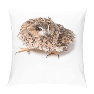 Personality  Cute Fluffy Wild Owl Isolated On White With Copy Space Pillow Covers