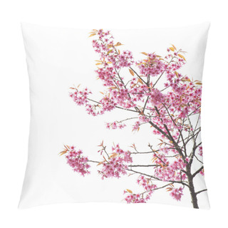Personality  Sakura Flowers Or Cherry Blossom Pillow Covers