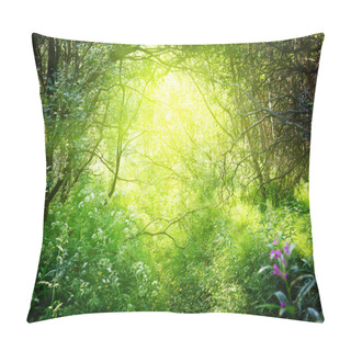 Personality  Sunny Day In Deep Forest Pillow Covers