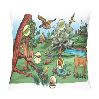Personality  Illustration Of Food Chain In Forest For School Excersise. Pillow Covers