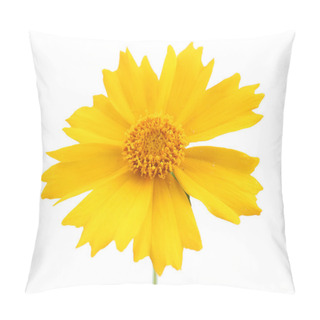 Personality  Beautiful Wild Flowers Isolated On White Pillow Covers