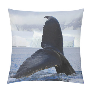 Personality  Humpback Whale Tail, Showing On The Dive, Antarctic Peninsula Pillow Covers