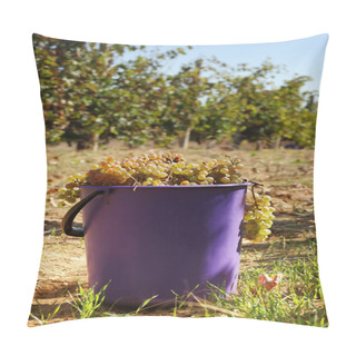 Personality  Harvest Of Grape Pillow Covers