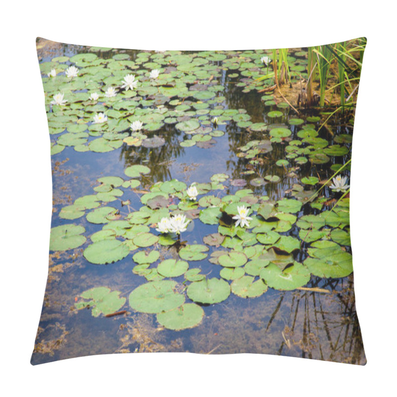 Personality  Water lilies pillow covers