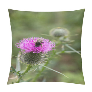 Personality  A Thistle In A Meadow In Late Summer Pillow Covers
