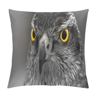 Personality  Look At Me. Pillow Covers