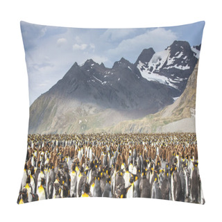 Personality  King Penguins Breeding Colony In An Island Of South Georgia Pillow Covers