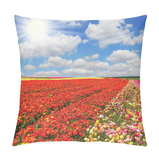 Personality  The Red And Yellow Garden Ranunculus Pillow Covers