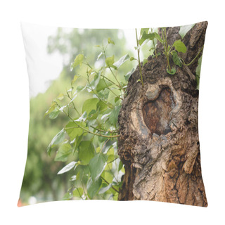 Personality  Close Up Of Poplar Tree With Green Leaves In Park Pillow Covers