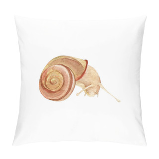 Personality  Hand Painted Watercolor Colorful Isolated Snail Clpart Pillow Covers