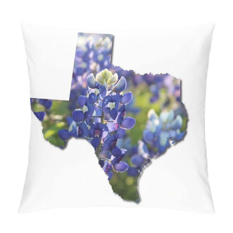 Personality  Texas Bluebonnets pillow covers