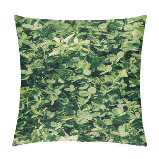 Personality  Full Frame Of Green Grass And Clover Leaves Background Pillow Covers