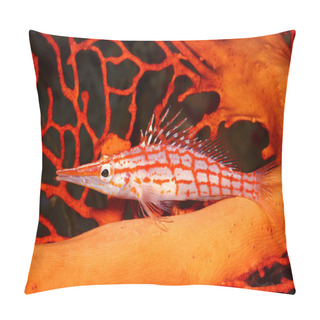 Personality  Long Nosed Hawkfish Pillow Covers
