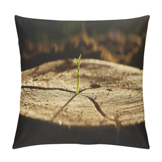 Personality  On A Wet Stump There Is A New Sprout With Life, A Magical Atmosphere, In The Background Of The Dark Earth, A Concept: Save The Planet, New Life, Ecology, Bio,love,tradition, Environment,future People. Pillow Covers