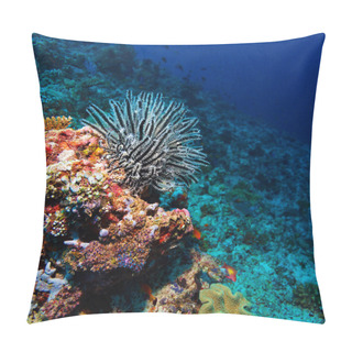 Personality  Sea Lilie On Tropical Coral Reef Pillow Covers