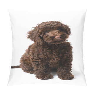 Personality  Labradoodle Mini Puppy Pillow Covers