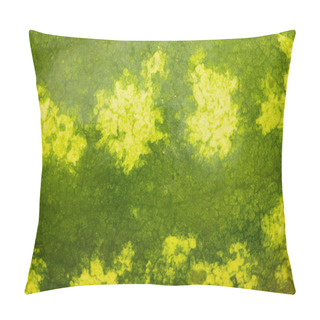 Personality  Green Skin Of The Watermelon Pillow Covers