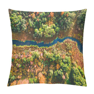 Personality  Top View Of Small River And Colorful Swamps, Poland Pillow Covers