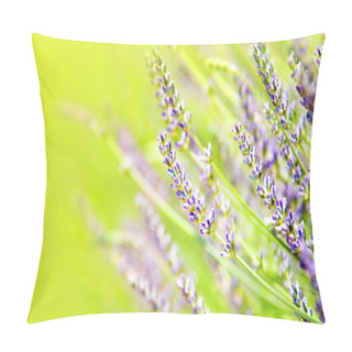 Personality  Fresh Lavender Field Pillow Covers