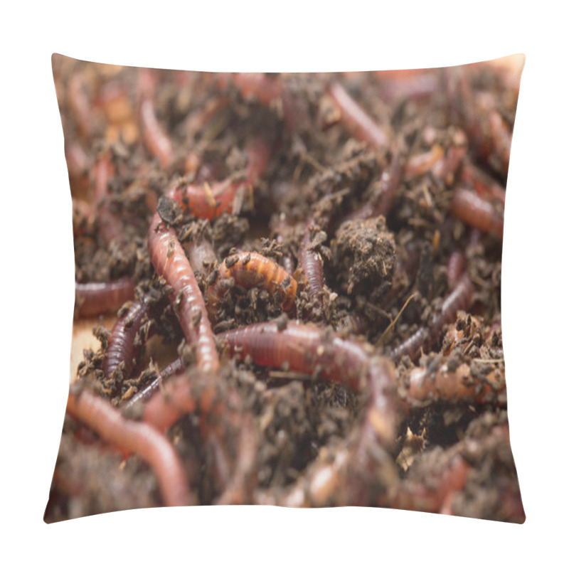 Personality  Worm On Wooden Board Pillow Covers